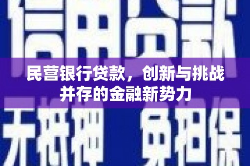六脚民营银行贷款，创新与挑战并存的金融新势力