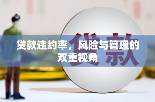 六脚贷款违约率，风险与管理的双重视角