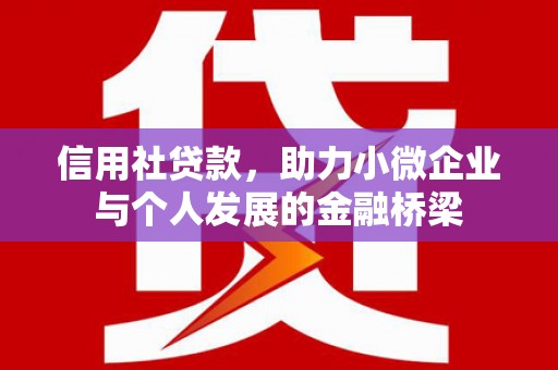 六脚信用社贷款，助力小微企业与个人发展的金融桥梁