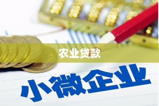 六脚农业贷款