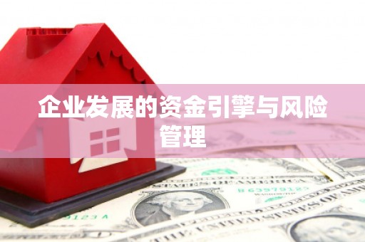 六脚企业发展的资金引擎与风险管理