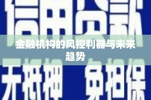 六脚金融机构的风控利器与未来趋势