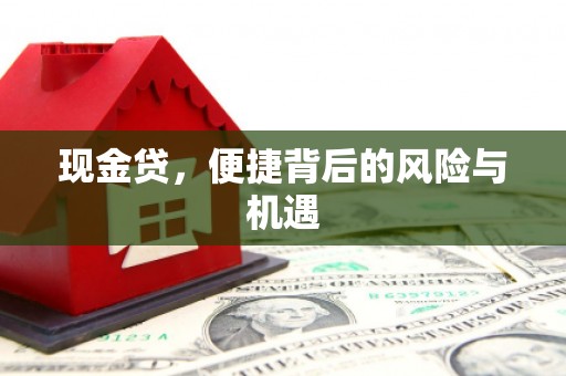 六脚现金贷，便捷背后的风险与机遇
