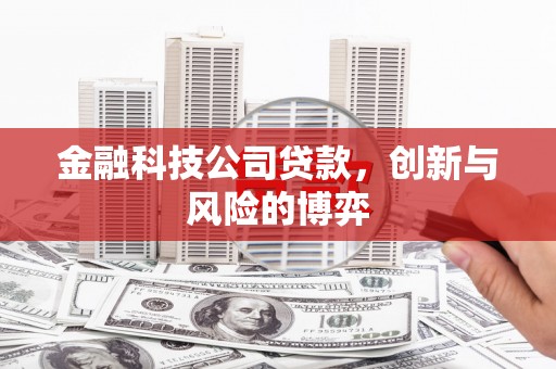 六脚金融科技公司贷款，创新与风险的博弈