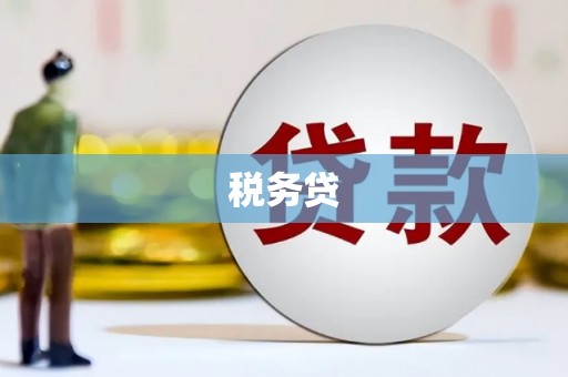 六脚税务贷