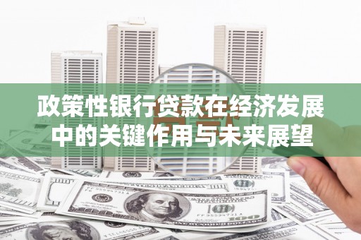 六脚政策性银行贷款在经济发展中的关键作用与未来展望
