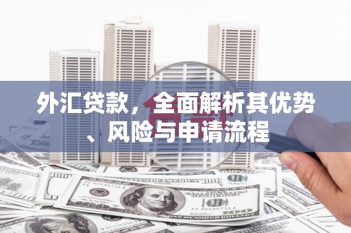 六脚外汇贷款，全面解析其优势、风险与申请流程