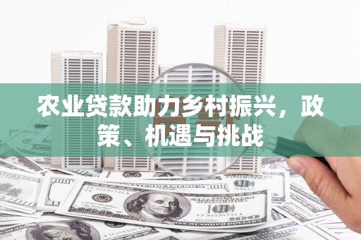 六脚农业贷款助力乡村振兴，政策、机遇与挑战