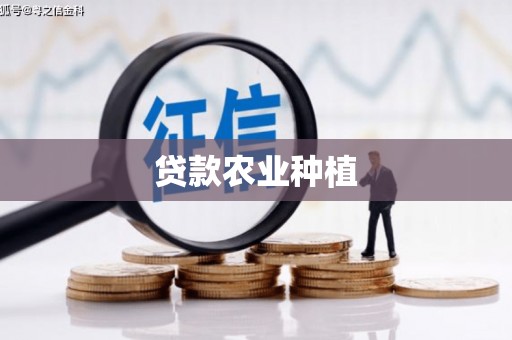 六脚贷款农业种植