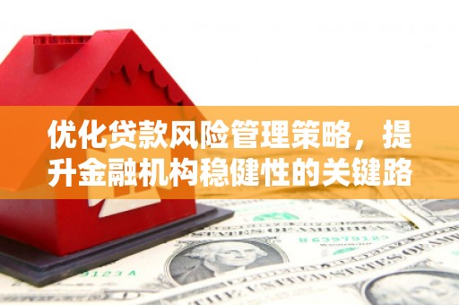 六脚优化贷款风险管理策略，提升金融机构稳健性的关键路径
