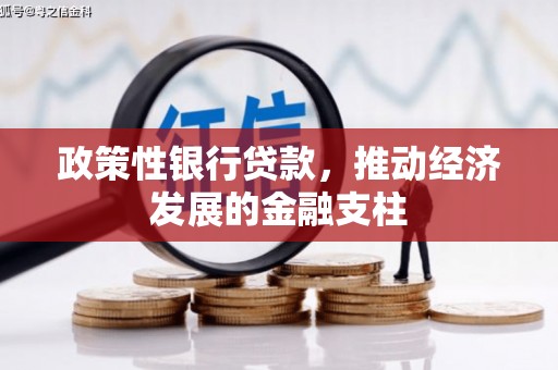 六脚政策性银行贷款，推动经济发展的金融支柱