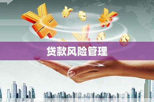 六脚贷款风险管理