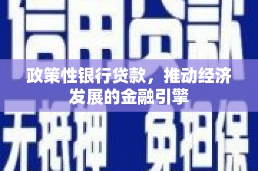 六脚政策性银行贷款，推动经济发展的金融引擎