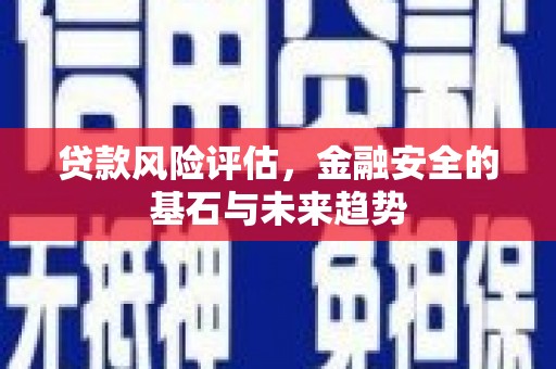 六脚贷款风险评估，金融安全的基石与未来趋势