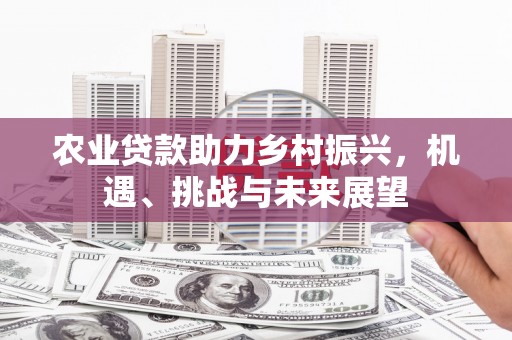 六脚农业贷款助力乡村振兴，机遇、挑战与未来展望