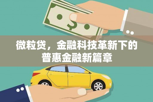 六脚微粒贷，金融科技革新下的普惠金融新篇章