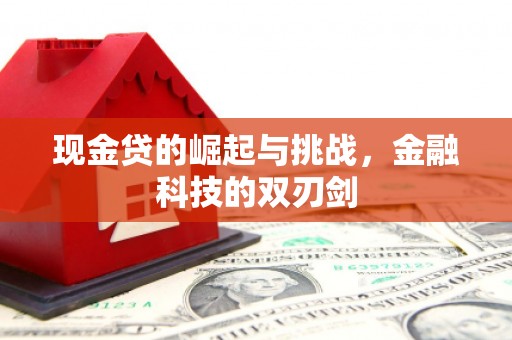 六脚现金贷的崛起与挑战，金融科技的双刃剑