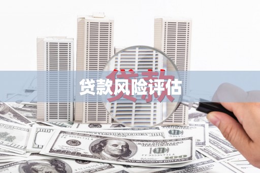 六脚贷款风险评估