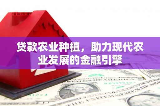 六脚贷款农业种植，助力现代农业发展的金融引擎