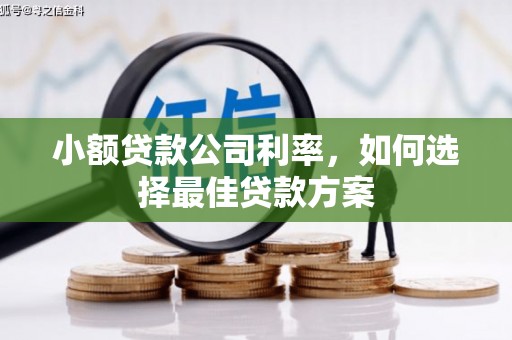 六脚小额贷款公司利率，如何选择最佳贷款方案