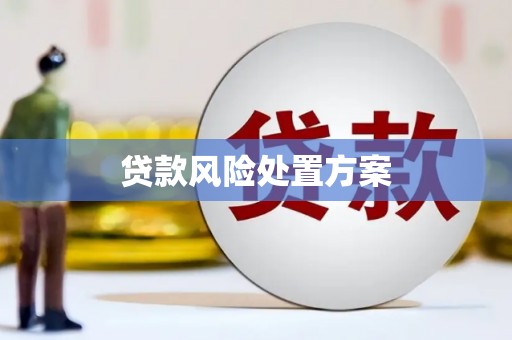 六脚贷款风险处置方案