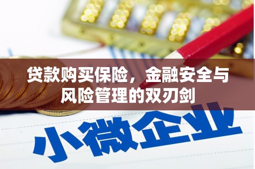 六脚贷款购买保险，金融安全与风险管理的双刃剑