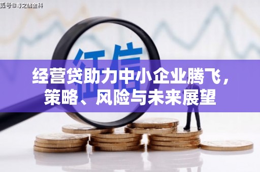 六脚经营贷助力中小企业腾飞，策略、风险与未来展望