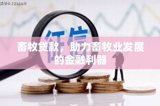六脚畜牧贷款，助力畜牧业发展的金融利器