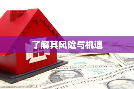 六脚了解其风险与机遇