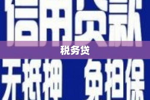 六脚税务贷