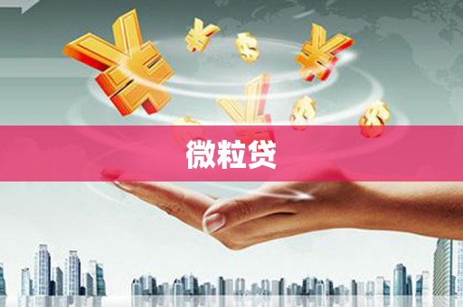 六脚微粒贷