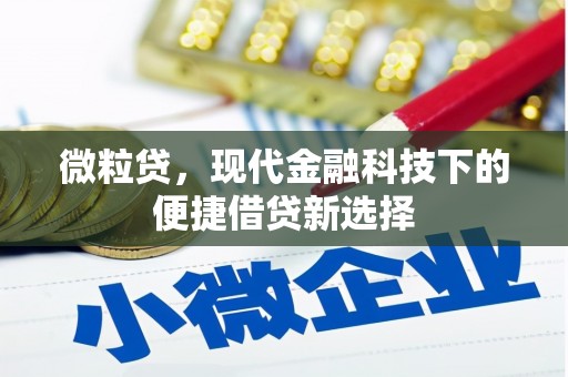 六脚微粒贷，现代金融科技下的便捷借贷新选择