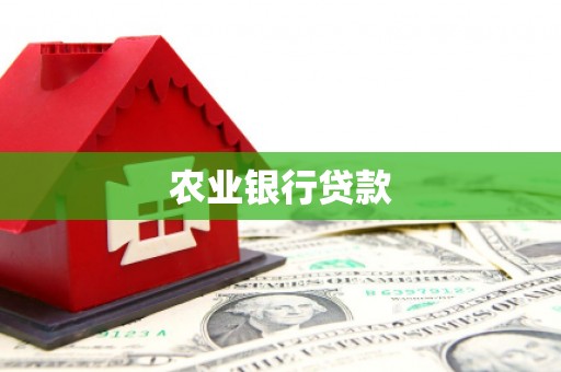 六脚农业银行贷款