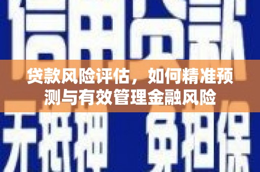 六脚贷款风险评估，如何精准预测与有效管理金融风险