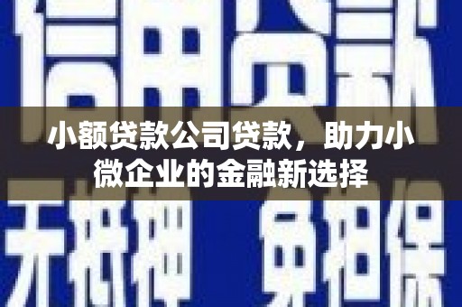 六脚小额贷款公司贷款，助力小微企业的金融新选择