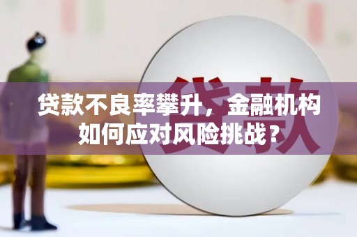 六脚贷款不良率攀升，金融机构如何应对风险挑战？
