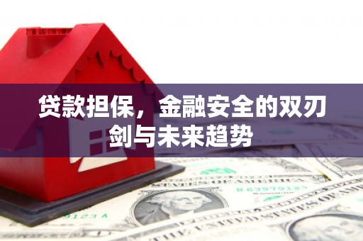 六脚贷款担保，金融安全的双刃剑与未来趋势