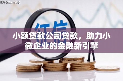 六脚小额贷款公司贷款，助力小微企业的金融新引擎