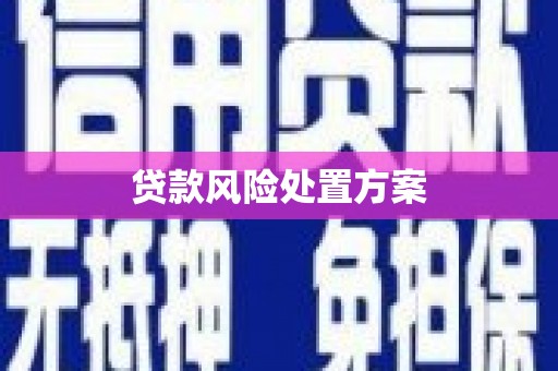 六脚贷款风险处置方案