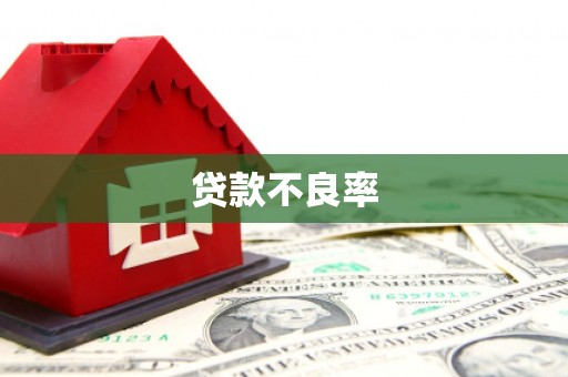 六脚贷款不良率