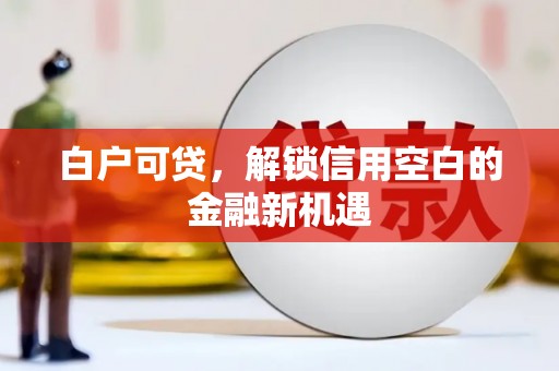 六脚白户可贷，解锁信用空白的金融新机遇