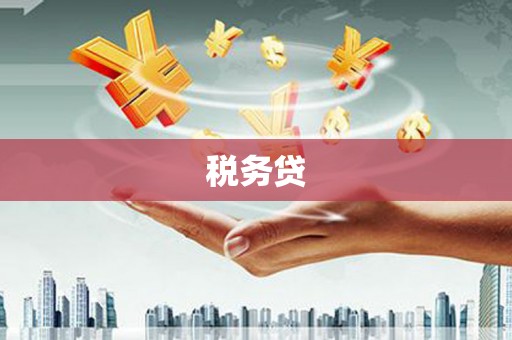 六脚税务贷