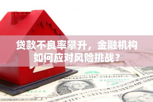 六脚贷款不良率攀升，金融机构如何应对风险挑战？