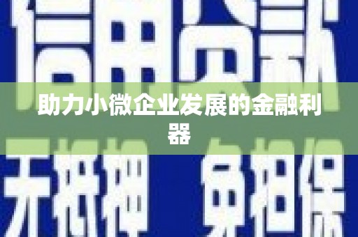 六脚助力小微企业发展的金融利器