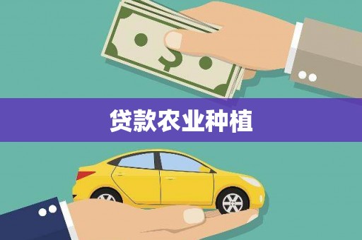六脚贷款农业种植
