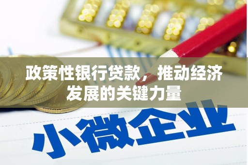六脚政策性银行贷款，推动经济发展的关键力量