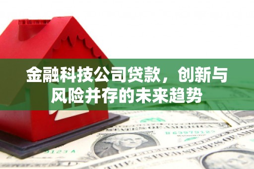 六脚金融科技公司贷款，创新与风险并存的未来趋势