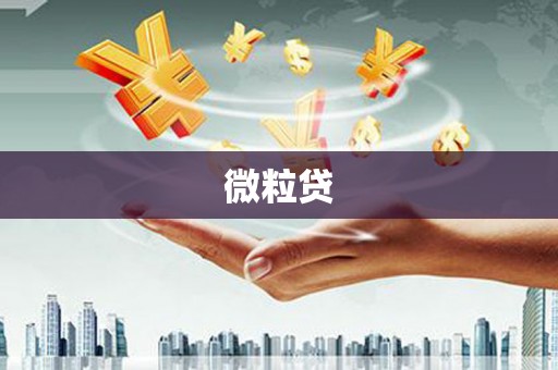 六脚微粒贷