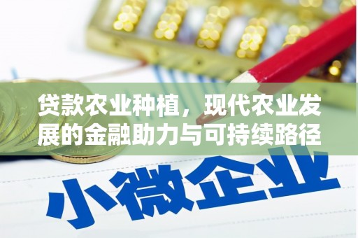 六脚贷款农业种植，现代农业发展的金融助力与可持续路径