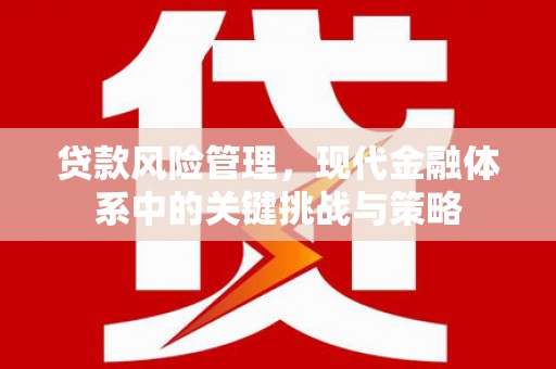 六脚贷款风险管理，现代金融体系中的关键挑战与策略